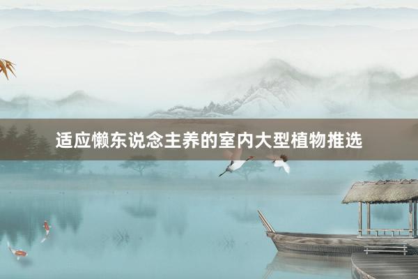 适应懒东说念主养的室内大型植物推选