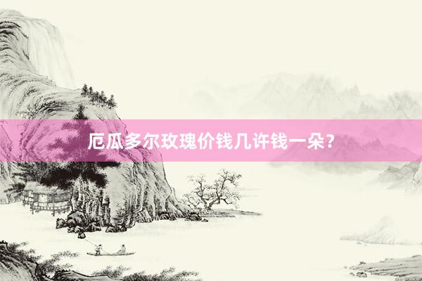 厄瓜多尔玫瑰价钱几许钱一朵？