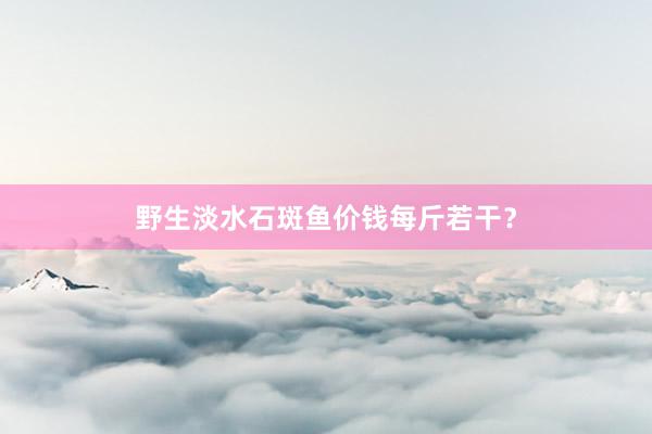 野生淡水石斑鱼价钱每斤若干？