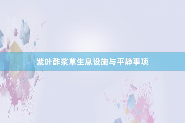 紫叶酢浆草生息设施与平静事项