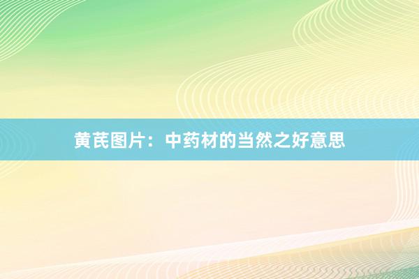 黄芪图片：中药材的当然之好意思