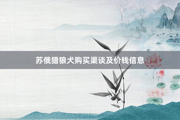 苏俄猎狼犬购买渠谈及价钱信息