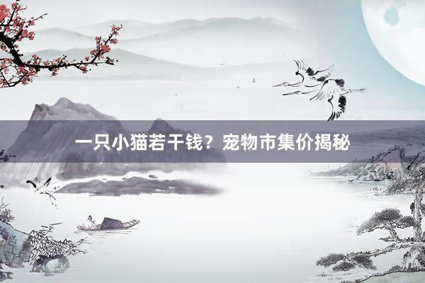 一只小猫若干钱？宠物市集价揭秘